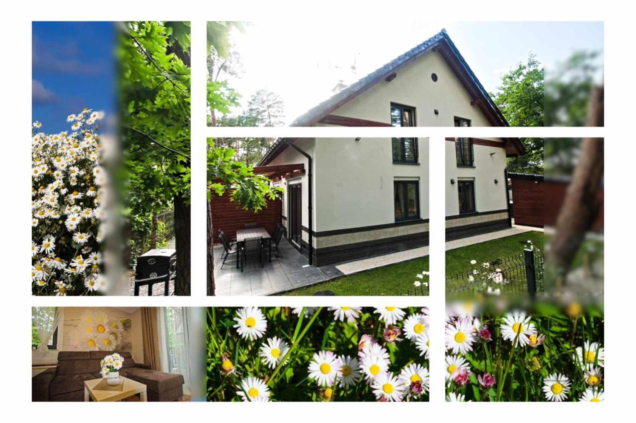 Daisy - Sunny Flowers Apartments Łukęcin Buitenkant foto